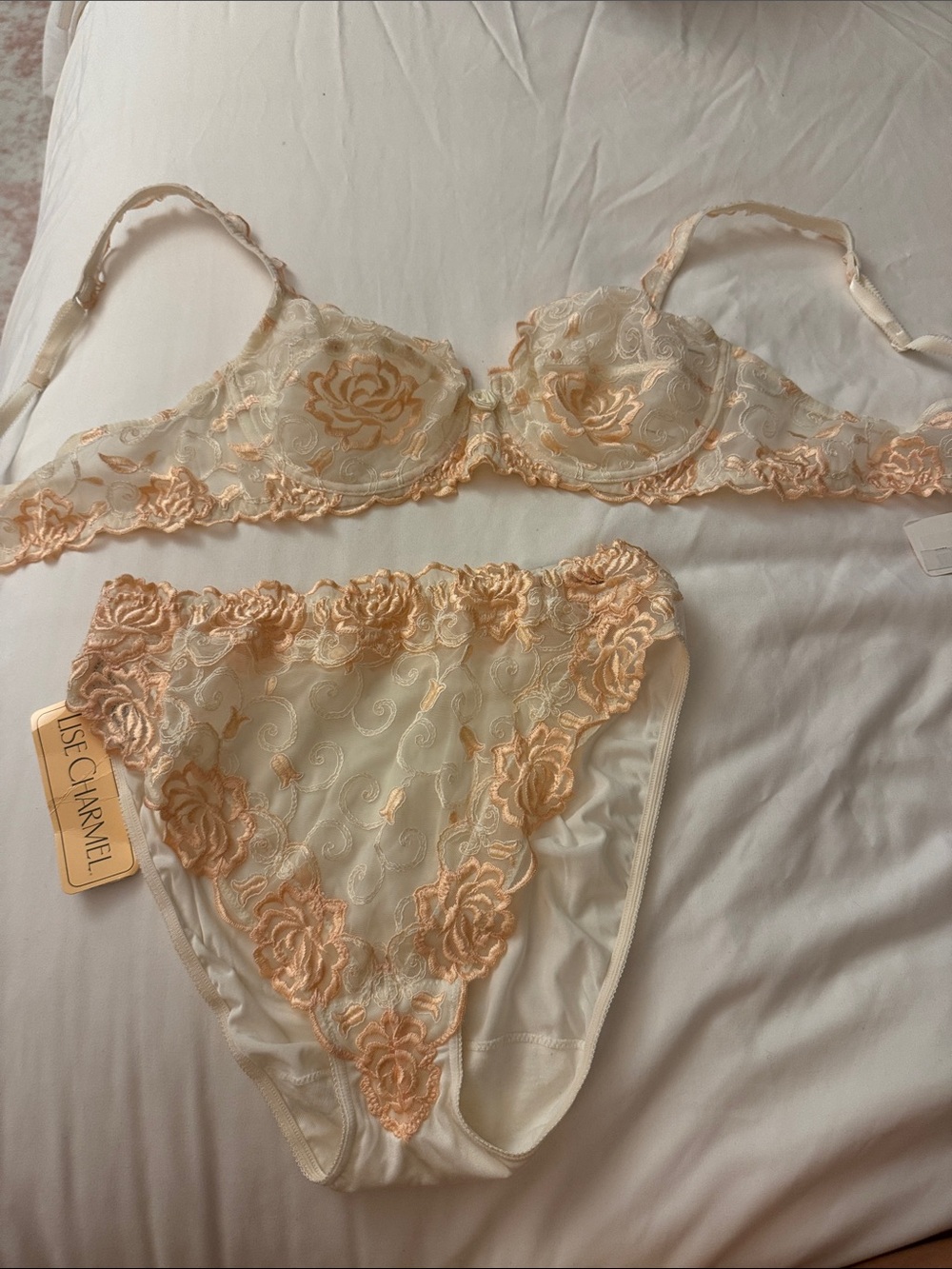 Embroidered Lace Underwire Bra & Brief Set in Ivory and Peach